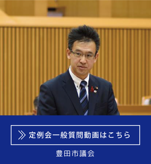 一般質問,代表質問,